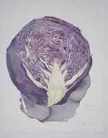 Rotkohl, 2006, Aquarell und Graphit auf Hadern