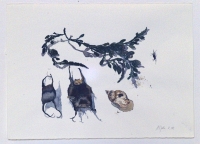 Rocheneier und Tang, 2008, Aquarell und Graphit auf Hadern