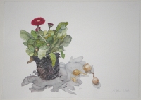 Tausendschnchen, 2009, Aquarell und Graphit auf Hadern